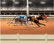 Greyhound racing online
